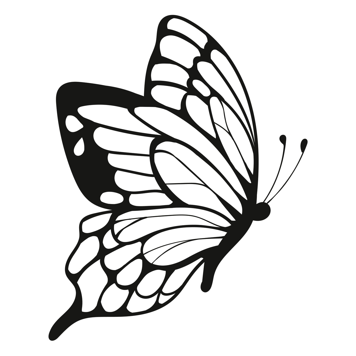 Monarch butterfly. Vector illustration