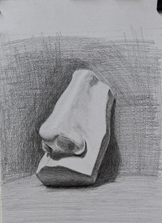 Nose Study in Graphite