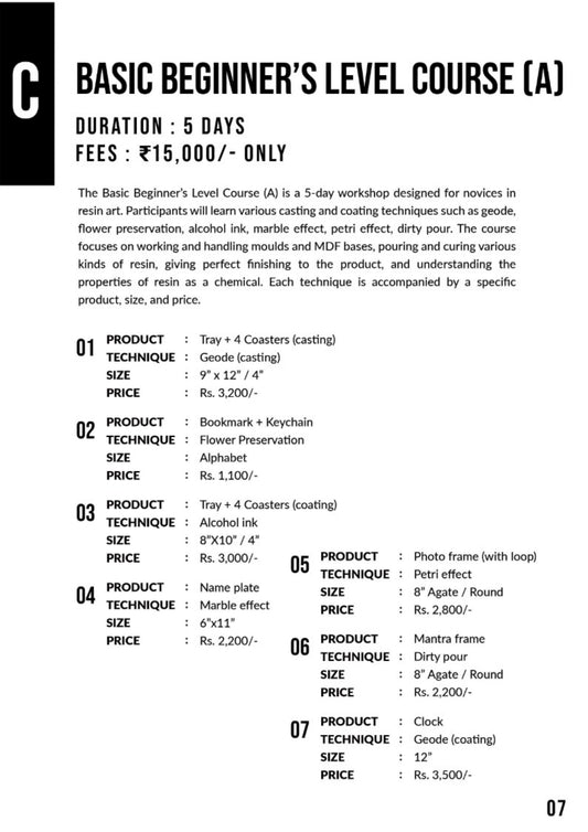 Basic Beginner's Level Course