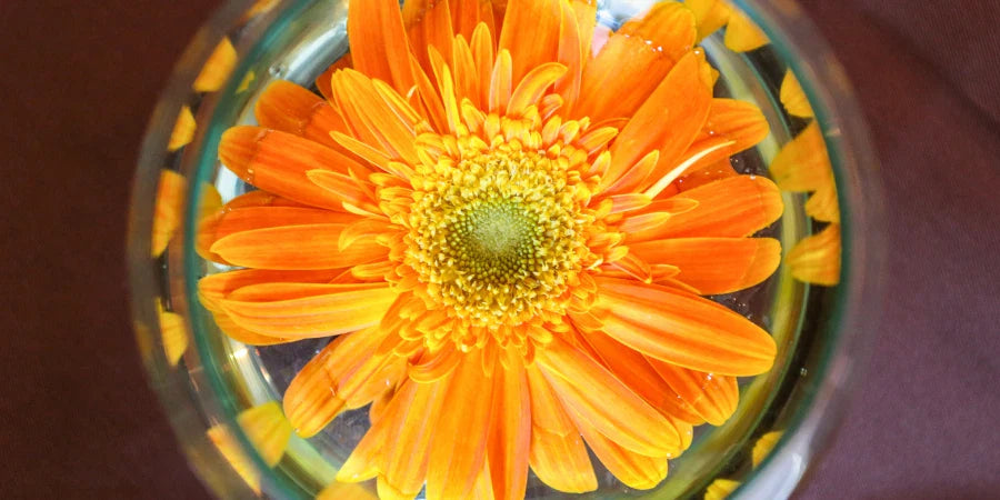 Add Flowers In Epoxy Resin
