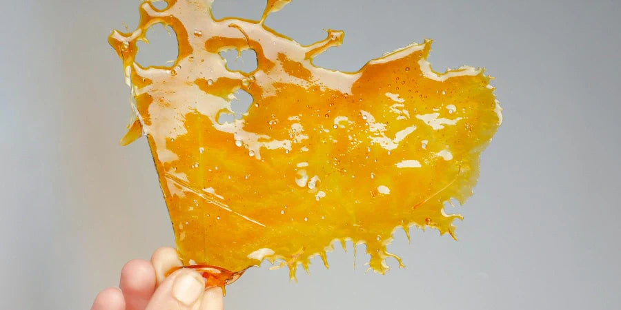 7 Reasons Why Resin Did Not Cure