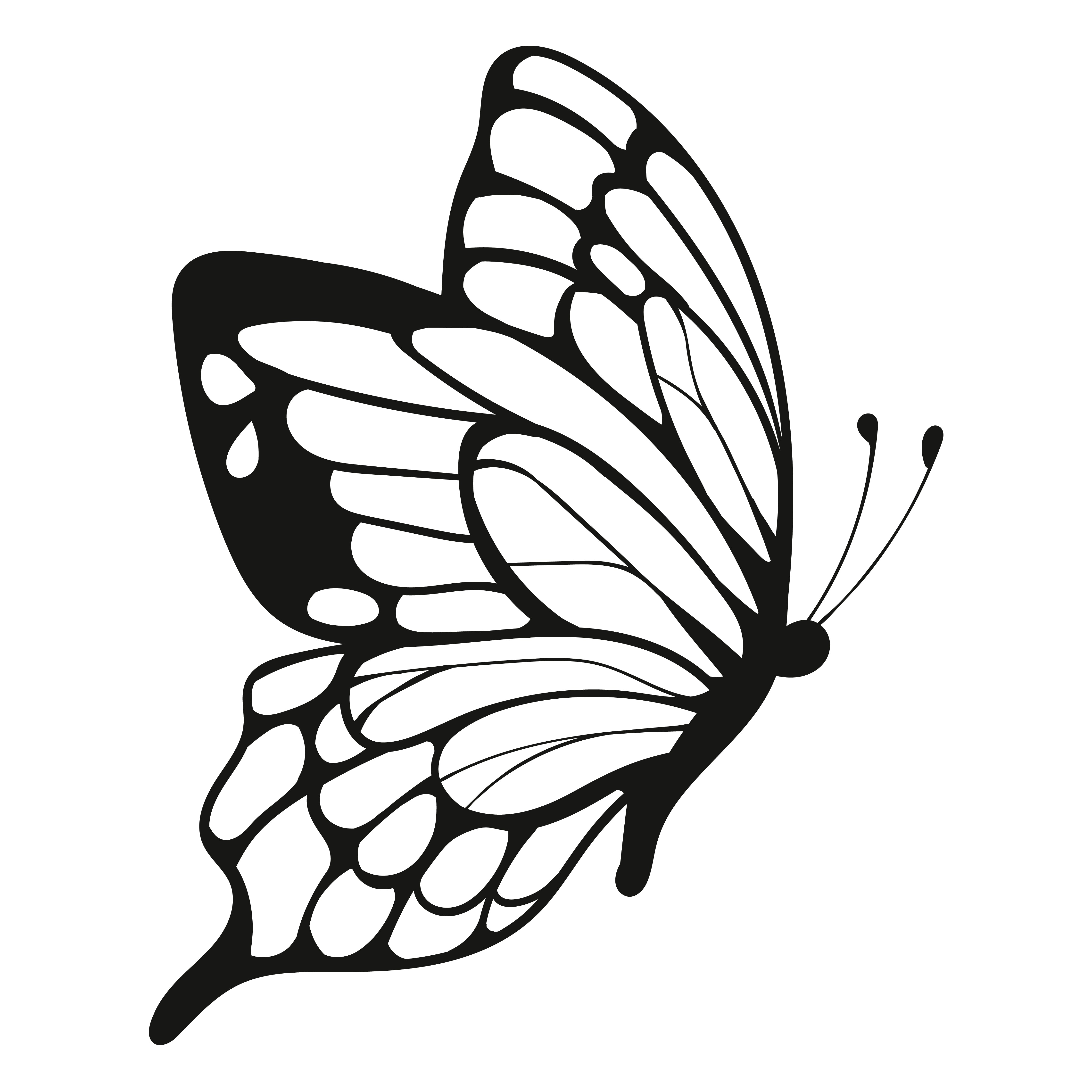 Betterfly Vector Buy Butterfly Wings CDR Vector Design Online | Artsshala