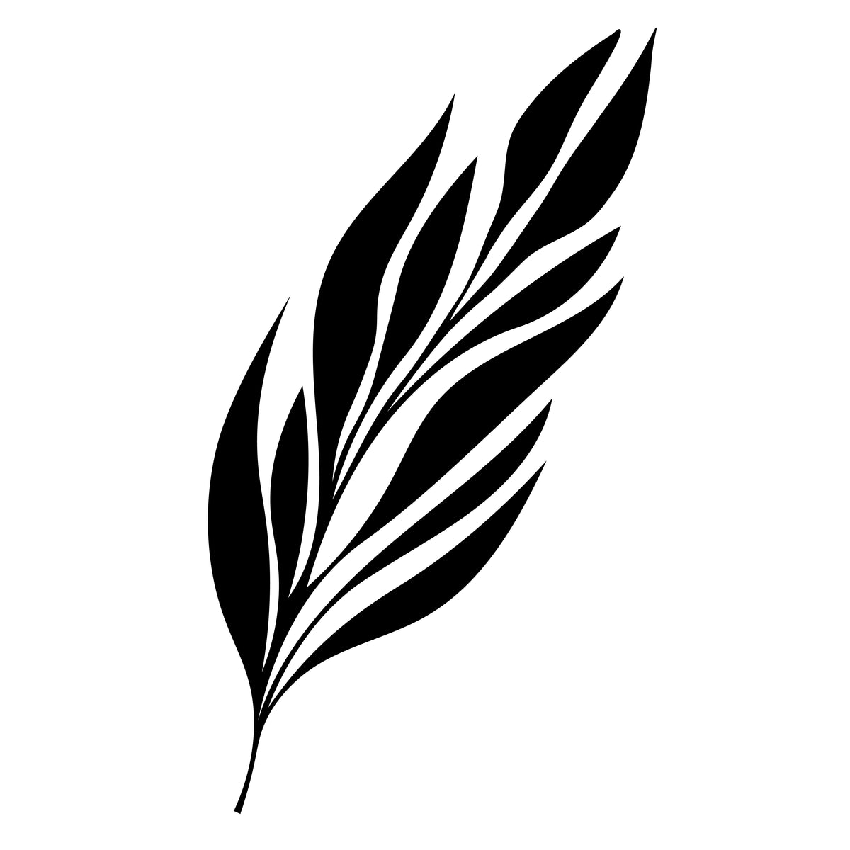 Leaf Cd R Buy Leaf black and white CDR Vector Design Online